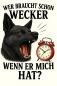 Preview: Damen T-Shirt mit "Wer braucht schon Wecker" mit schwarzem Schäferhund